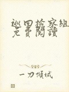 巡回检察组小说免费阅读