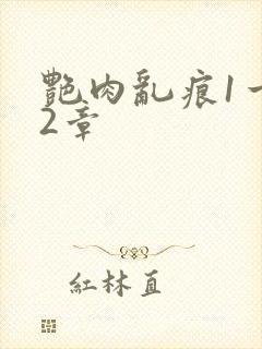 艳肉乱痕1一12章