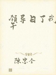 领导日了我一下午