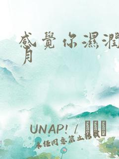 感觉你湿润我四月