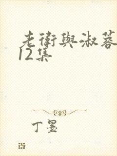 老卫与淑蓉1一12集