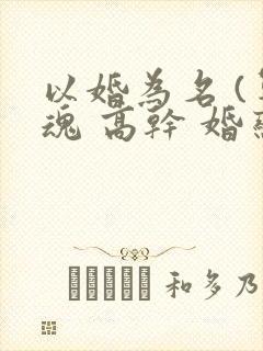 以婚为名 (军魂 高干 婚恋)