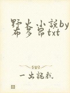 野火小说by夏布多昂txt