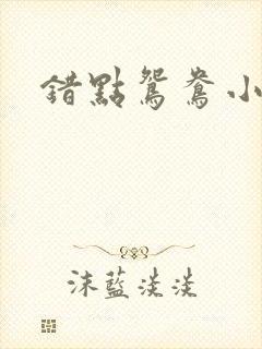 错点鸳鸯小说