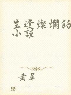 生逢灿烂的日子小说