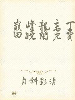 巅峰龙主丁长顺田晓兰免费阅读