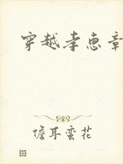 穿越孝惠章皇后