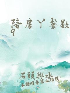 陪房丫鬟数数39