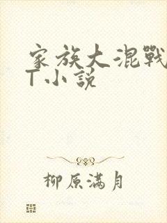 家族大混战TXT小说