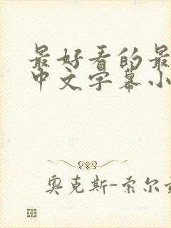 最好看的最新的中文字幕小说