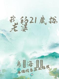 我的21岁总裁老婆