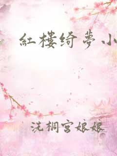 红楼绮梦小说