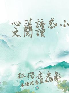 心荡诱惑小说全文阅读