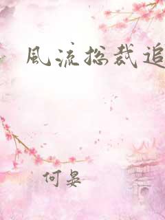 风流总裁追妻记