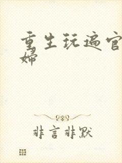 重生玩遍官场贵妇