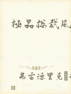 极品总裁风流录