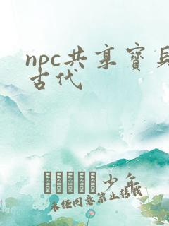 npc共享宝贝古代