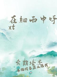 在细雨中呼喊txt