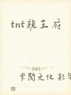 tnt亲王府
