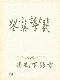 yy小说txt全集下载