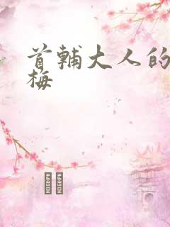 首辅大人的小青梅