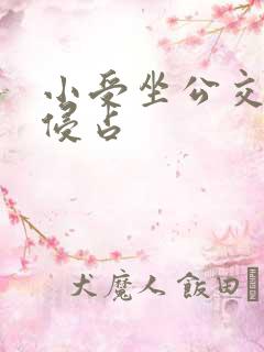 小受坐公交车被侵占