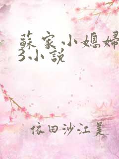 苏家小媳妇1V3小说