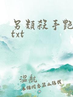 另类杀手艳福星txt