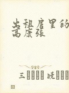 出租房里的交互高康张