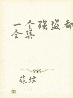 一个强盗都不留全集