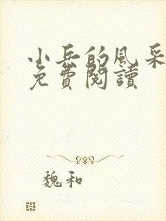 小兵的风采小说免费阅读