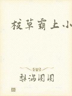 校草霸上小丫头