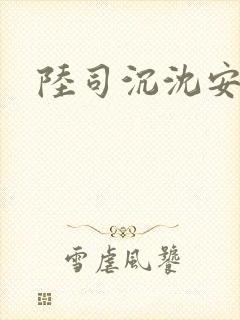 陆司沉沈安