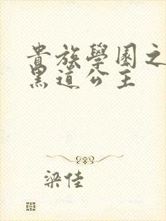 贵族学园之我的黑道公主