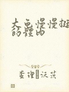 大龟慢慢挺进我的体内