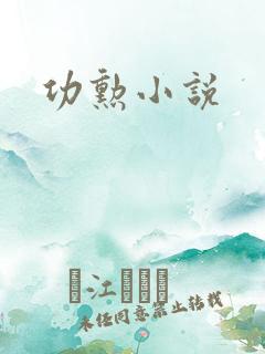 功勋小说