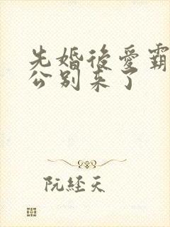 先婚后爱霸道老公别来了