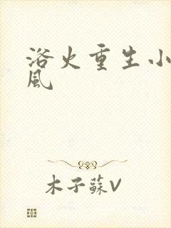 浴火重生小说陈风