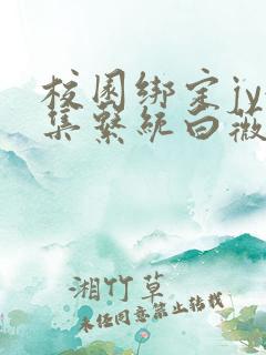 校园绑定jy收集系统白薇