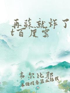 再苏就炸了txt百度云