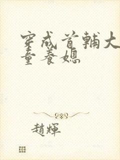 穿成首辅大人的童养媳