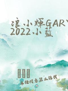 浪小辉GARY2022小蓝