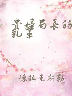 贵妇局长的蕾丝乳罩