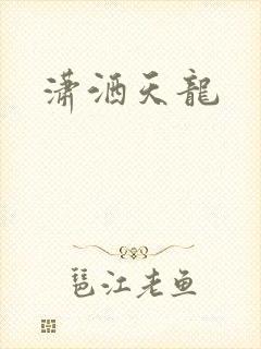 潇洒天龙