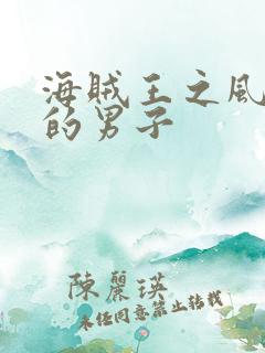 海贼王之风一样的男子