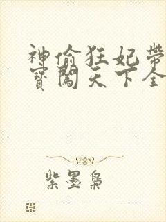 神偷狂妃带着宝宝闯天下全文免费阅读