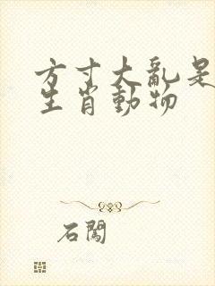 方寸大乱是什么生肖动物