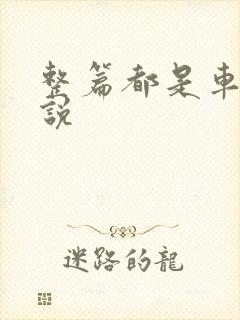 整篇都是车的小说