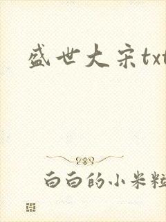 盛世大宋txt
