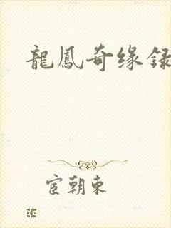 龙凤奇缘录